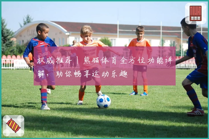 权威推荐丨熊猫体育全方位功能详解，助你畅享运动乐趣