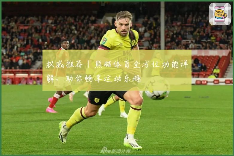 权威推荐丨熊猫体育全方位功能详解，助你畅享运动乐趣