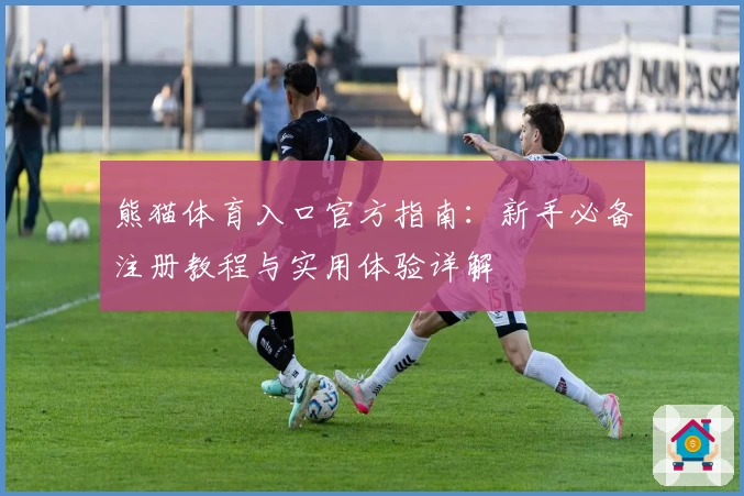 熊猫体育入口官方指南:新手必备注册教程与实用体验详解