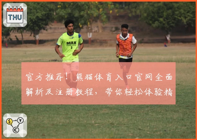 官方推荐！熊猫体育入口官网全面解析及注册教程，带你轻松体验精彩赛事魅力