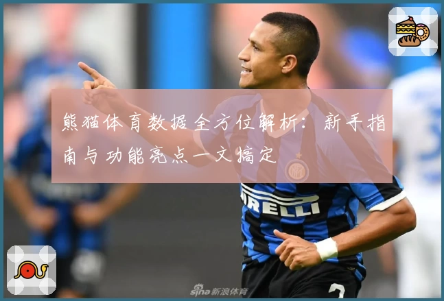 熊猫体育数据全方位解析：新手指南与功能亮点一文搞定