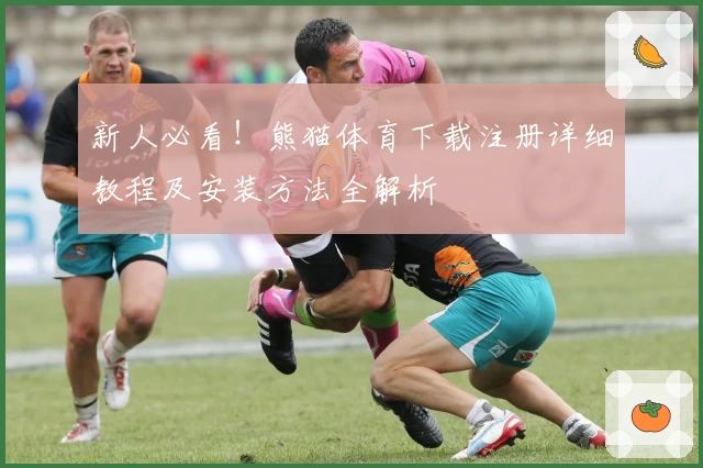 新人必看！熊猫体育下载注册详细教程及安装方法全解析