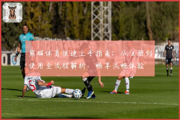 熊猫体育快速上手指南：从注册到使用全流程解析，畅享流畅体验