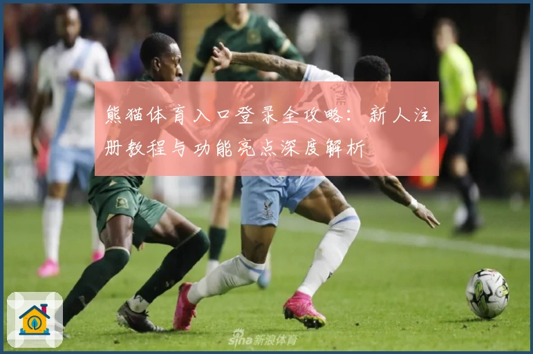 熊猫体育入口登录全攻略:新人注册教程与功能亮点深度解析