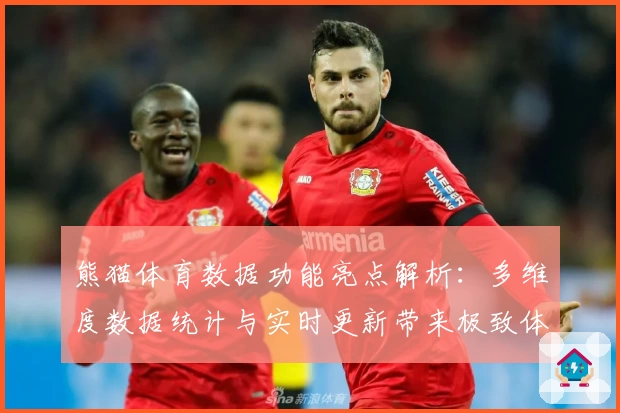 熊猫体育数据功能亮点解析：多维度数据统计与实时更新带来极致体验