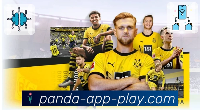 熊猫体育 Sports 官方视觉图